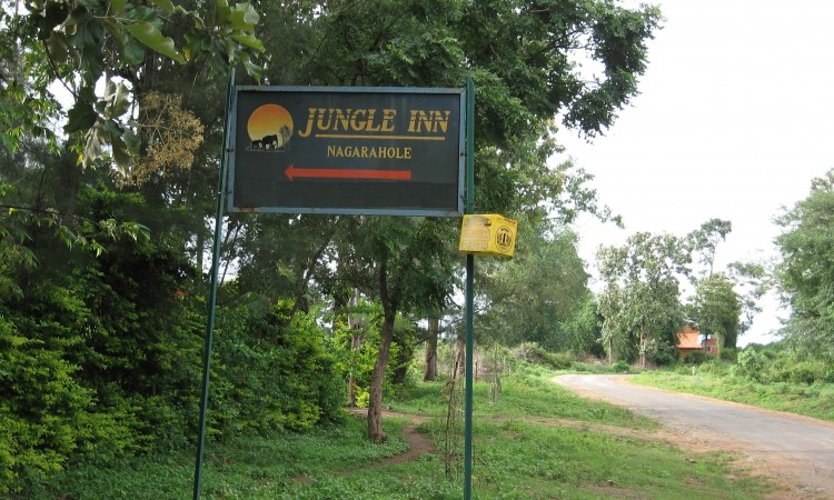 Jungle inn Jungle inn