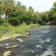 Cauvery Sannidhi for Indian Culture