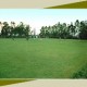 Pavna bagh Pavna bagh