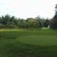 Golf-course
