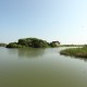Scenic view