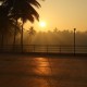 Dawn by the deck