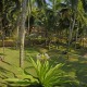 Coconut grooves Coconut grooves