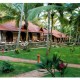 Cottage amidst greenery Cottage amidst greenery