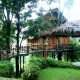 Bamboo Tree House