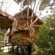 Bamboo Tree House set amidst Nature