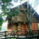 Front View of Bamboo Tree House