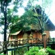 Main View of Bamboo Tree House