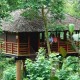 Tree House Tree House