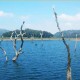 Thekkady Lake View