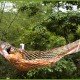 Hammock