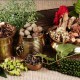 Natural Herbs