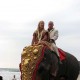 Elephant Ride