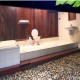 Garden Bathroom