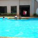 Swimming Pool Swimming Pool
