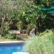 Tamarind Tree Poolside