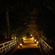 Approach Bridge at Night