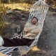 Hammock