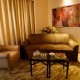 Executive Suite Living Room