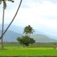 Scenic Surroundings Scenic Surroundings