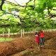 Stay Close to Nature Stay Close to Nature